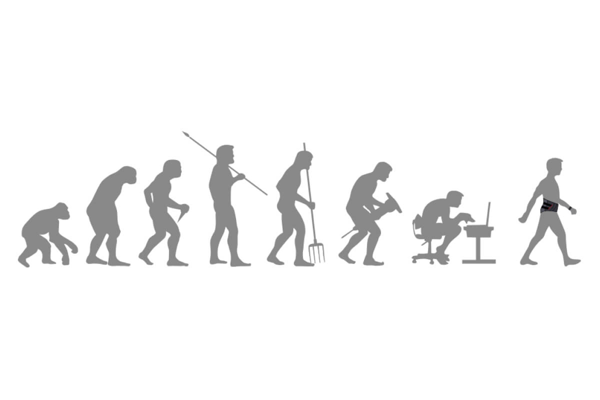 Bild Evolution