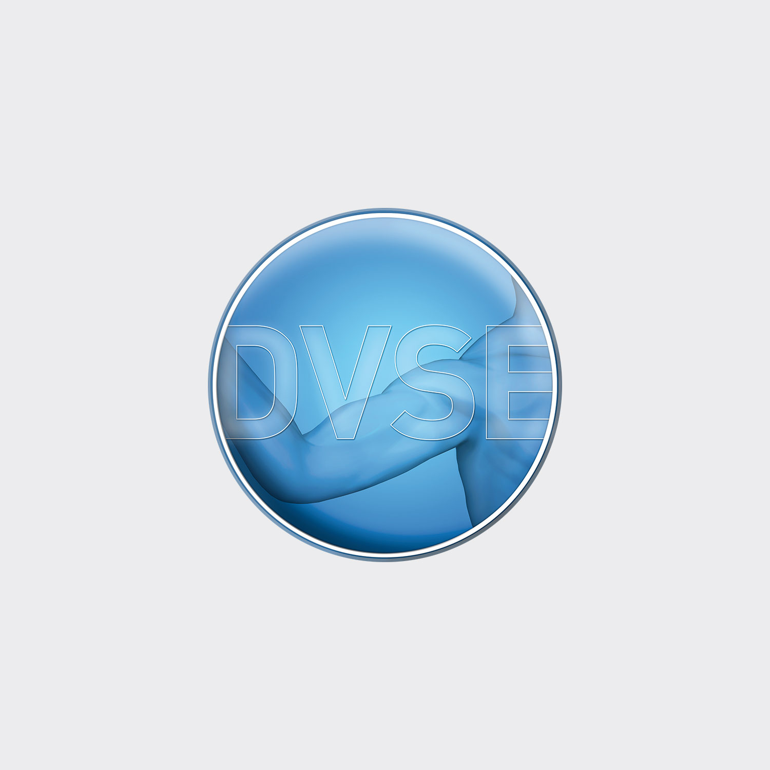Bild für Webseite, Ordner: partnerschaften, Logo DVSE