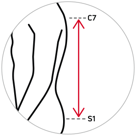 Icon Vermaßung, Rückenlänge S1-C7